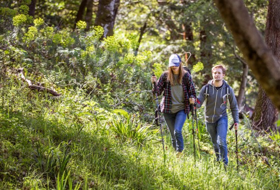 Everything you need to find mushrooms while hiking