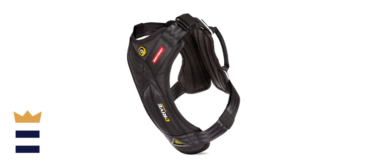 EzyDog Drive Travel Car Harness