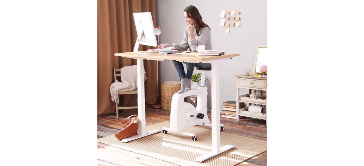 Best Flexispot E5 Electric Standing Desk