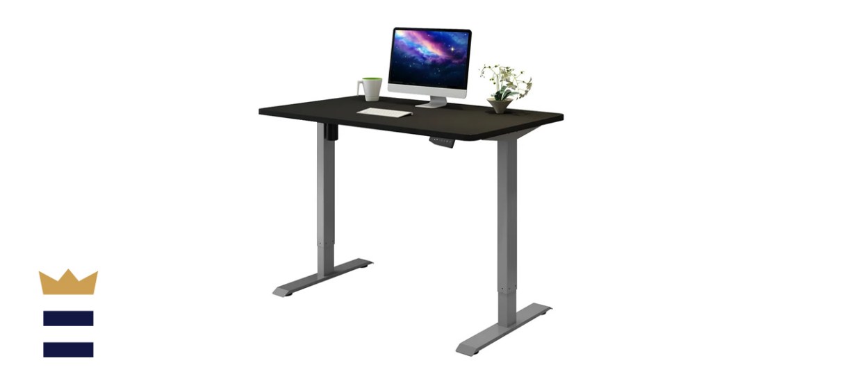 Flexispot EN1 Standing Desk