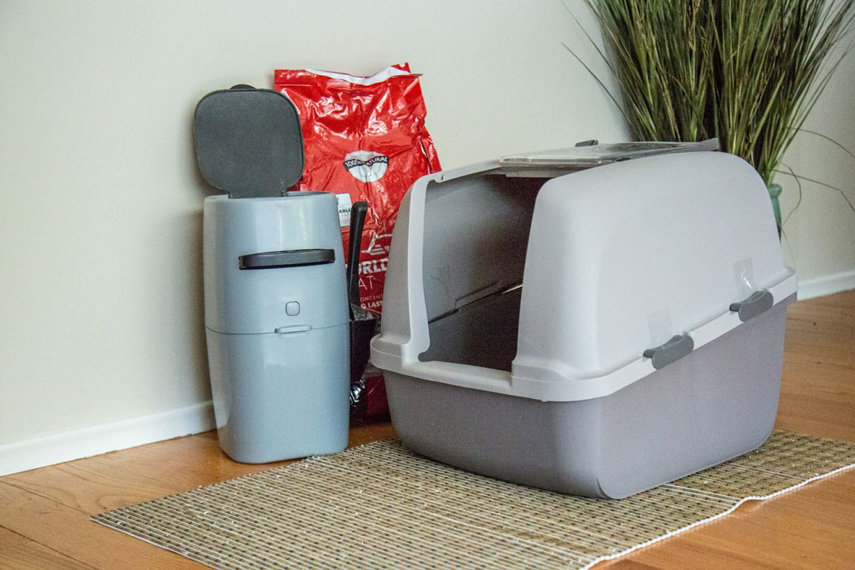 5 Best Flushable Cat Litters Aug. 2024 BestReviews