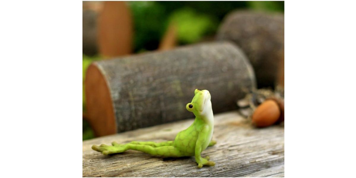 Top Collection Miniature Fairy Garden and Terrarium Yoga Frog