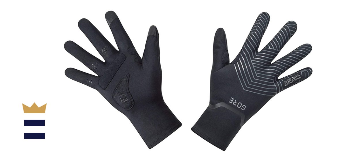 GORE WEAR Unisex C3 Gore-tex Infinium Stretch Mid Gloves