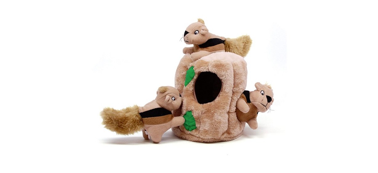 Hide A Squirrel Plush Puzzle
