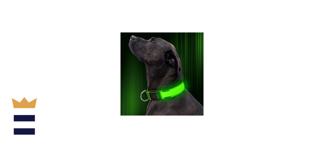 Illumifun LED Dog Collar