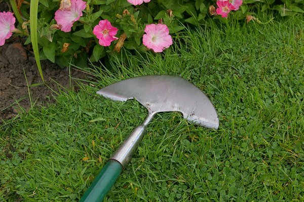 KwikEdge - Best Lawn Edging Tool