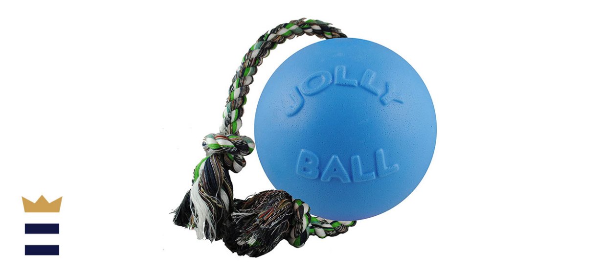 Jolly Pets Romp-n-Roll Rope and Ball Dog Toy
