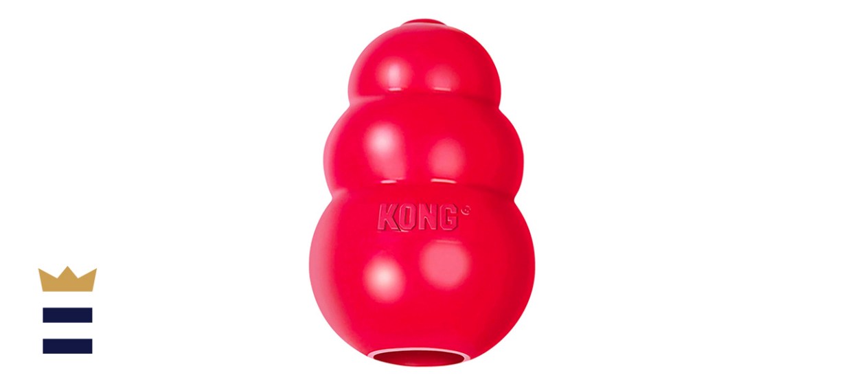 KONG Small Dog Toy