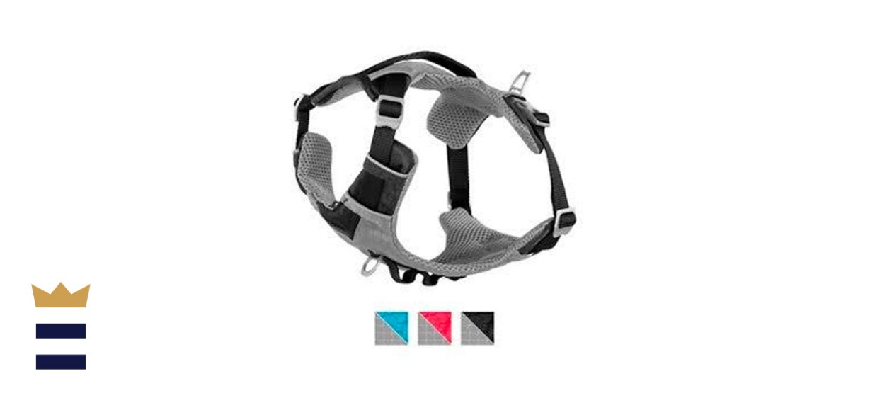 Kurgo Journey Dog Harness