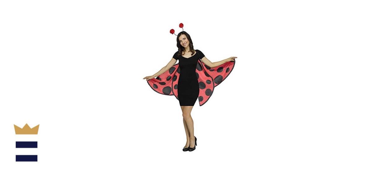 Ladybug Wings and Headband Set by Fun World