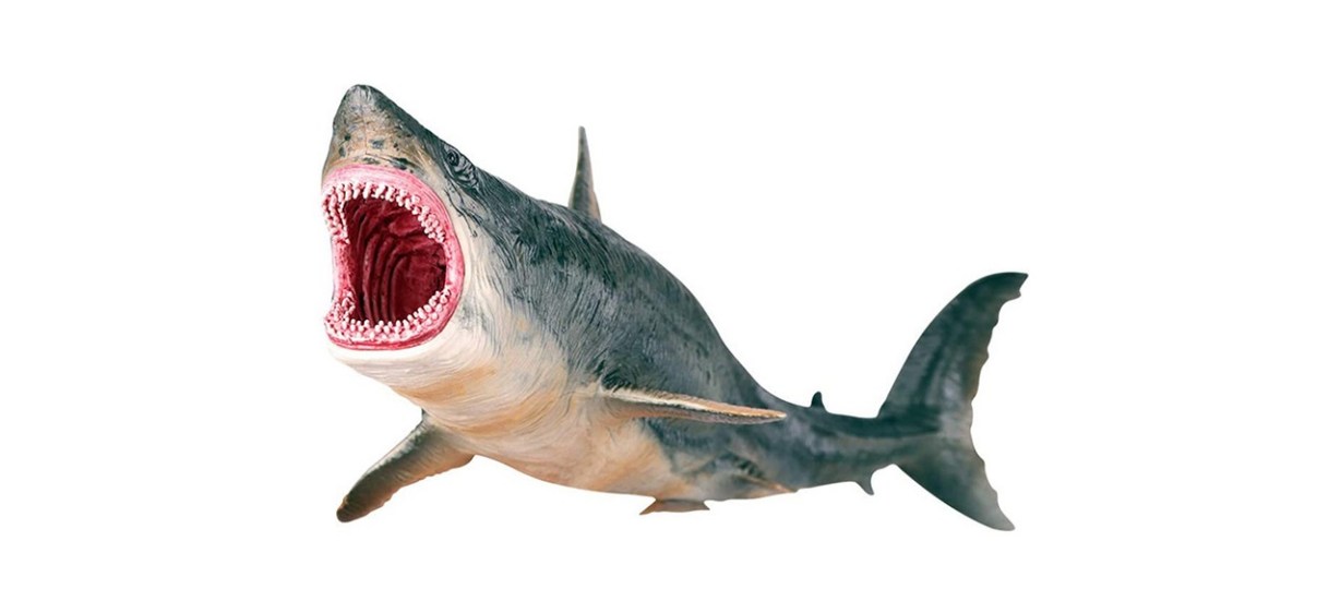 Large Shark Megalodon Toy