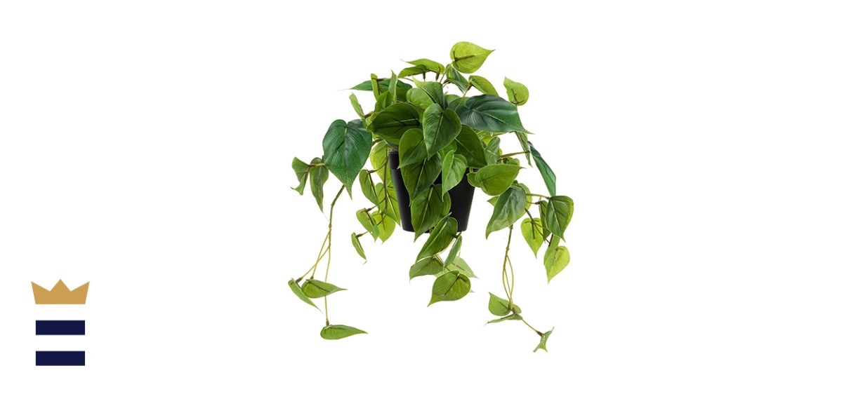 LuckyGreenery Artificial Scindapsus aureus