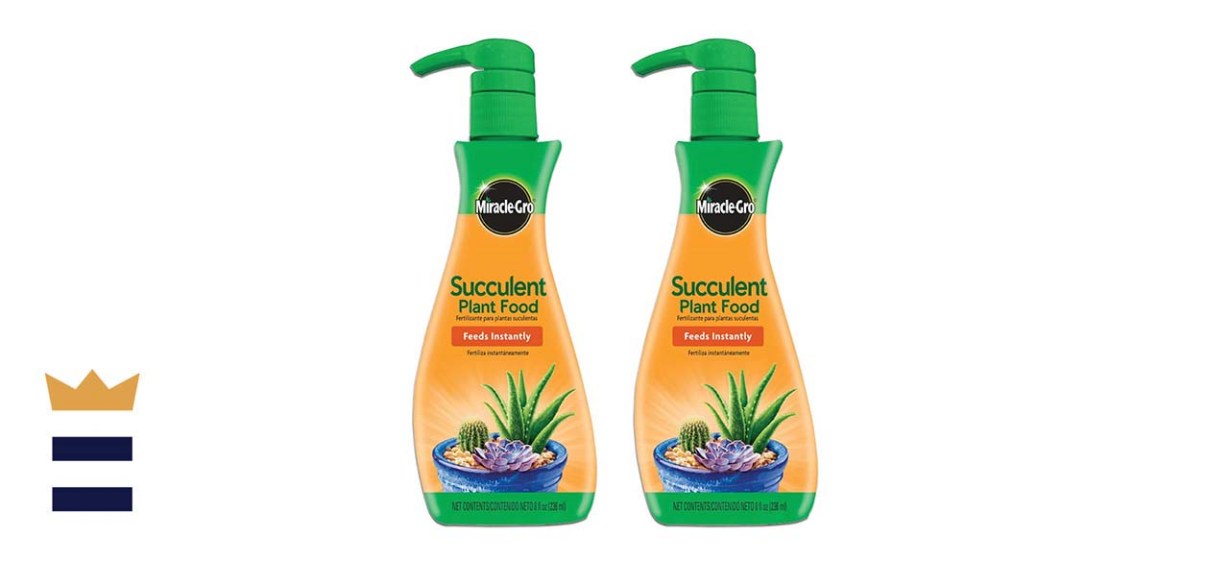 Miracle-Gro Succulent Plant Food
