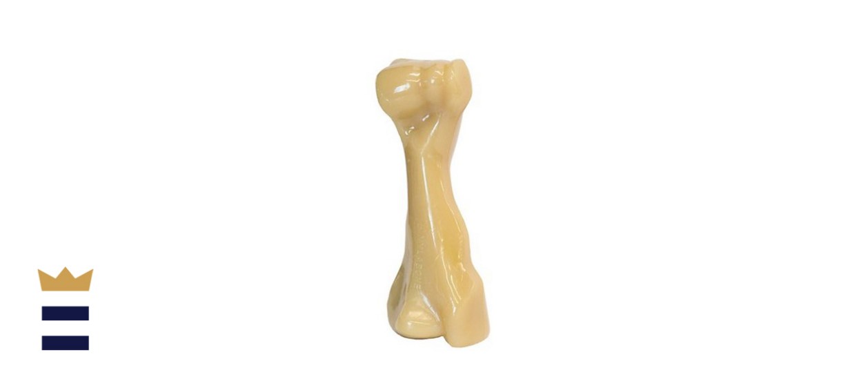 Nylabone DuraChew BIG Chew Toy