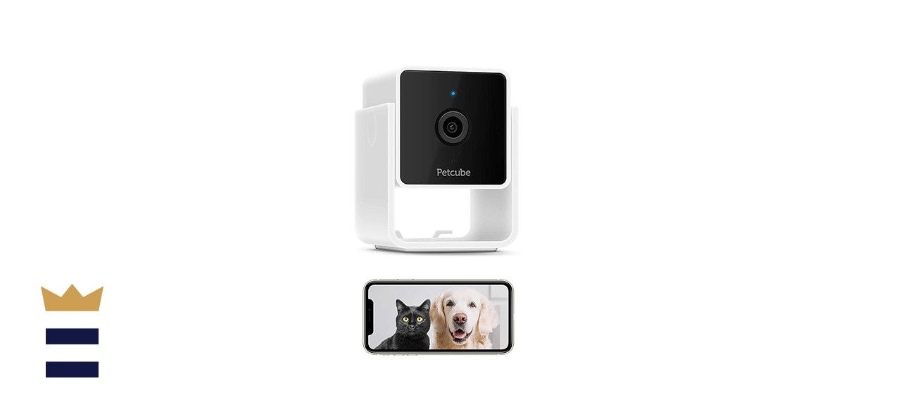 Petcube Cam