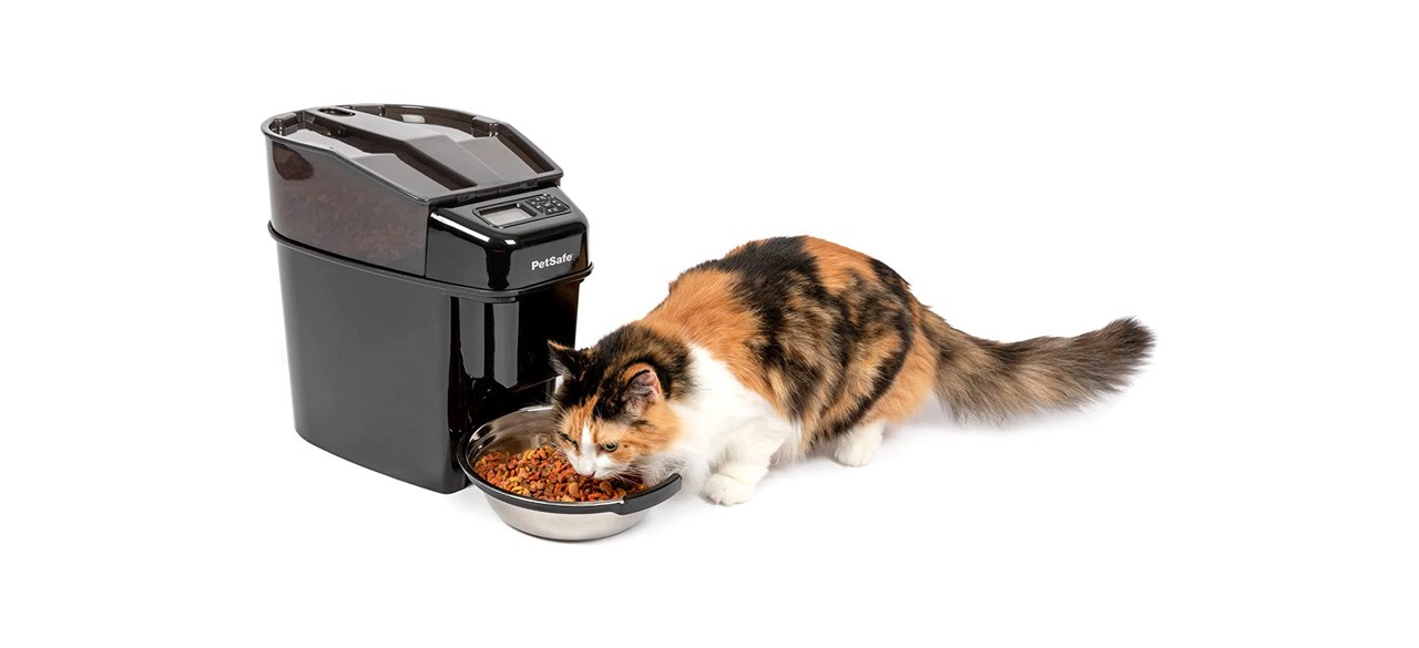 Vacation pet outlet feeder