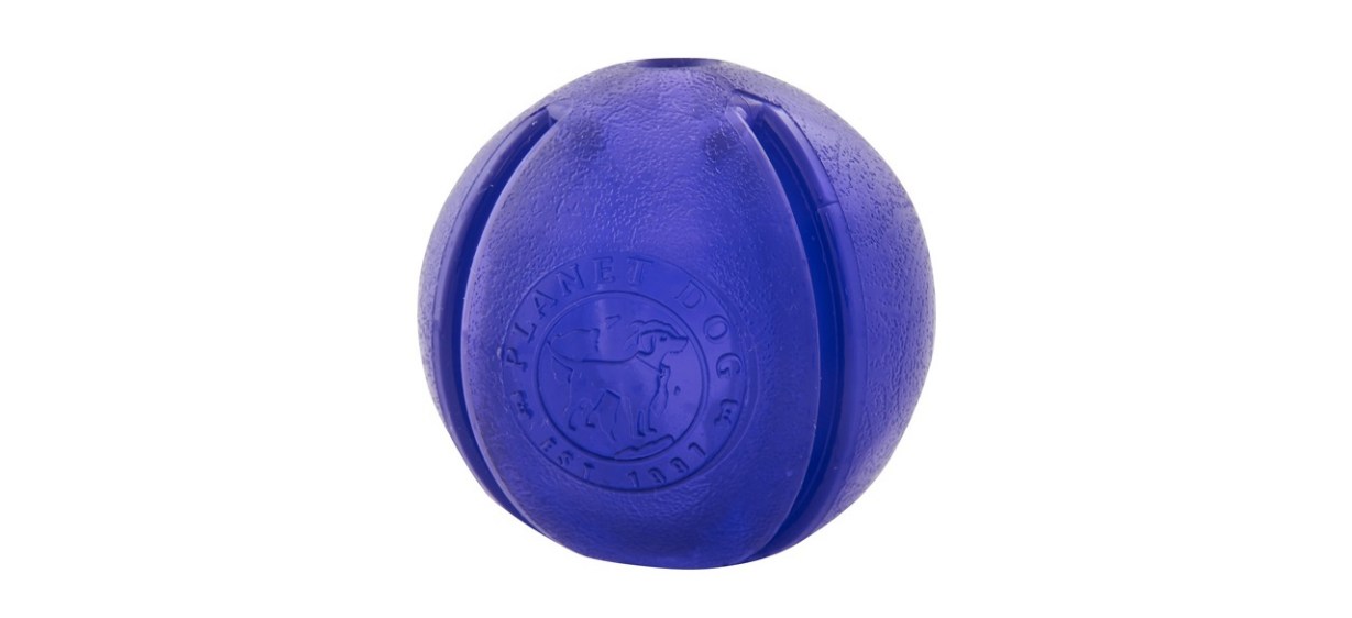 Planet Dog Orbee-Tuff Guru Treat Dispensing Dog Chew Toy