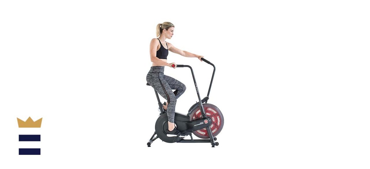 Schwinn Fitness AirDyne Bike