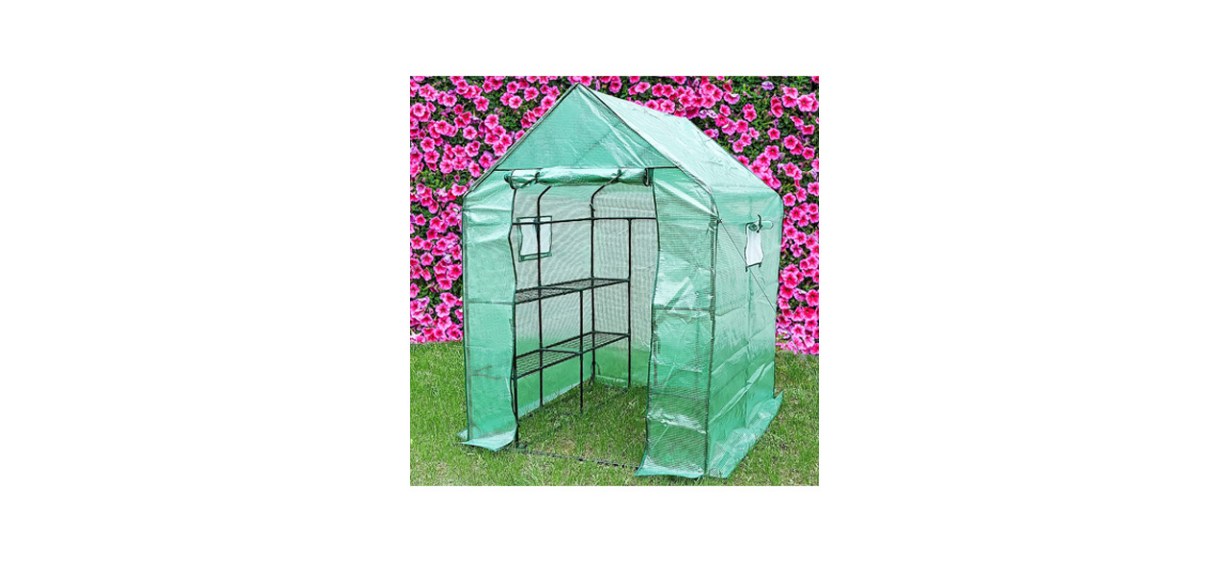 SV Scool Value Small Greenhouse