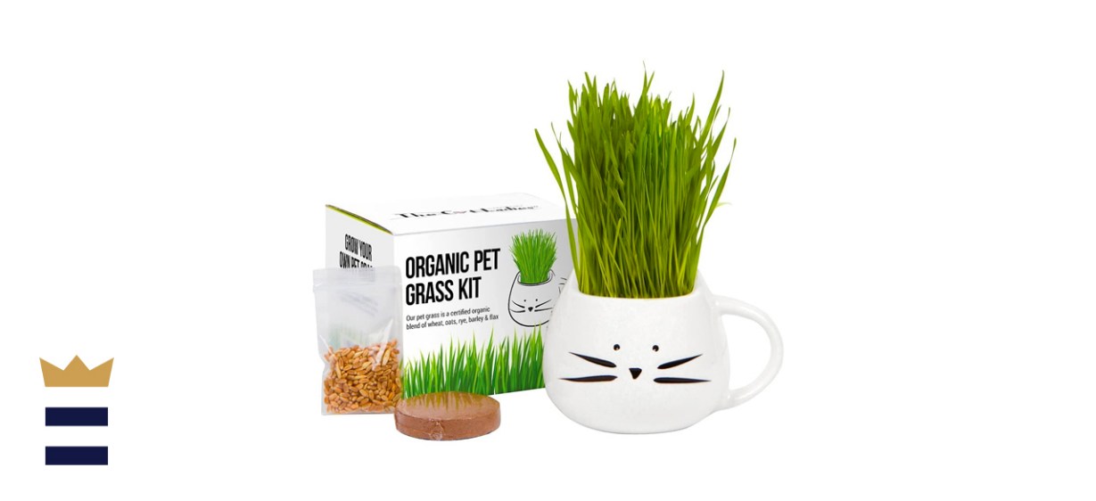 The Cat Ladies Organic Cat Grass Growing Kit with Cat Planter