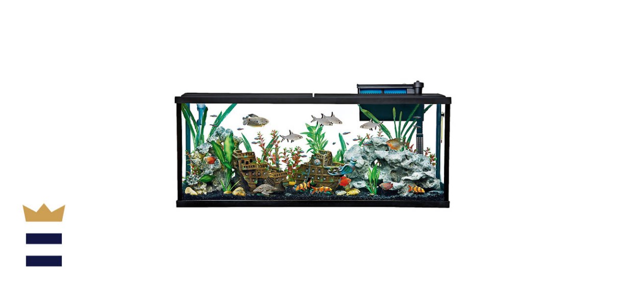 petsmart fish tanks