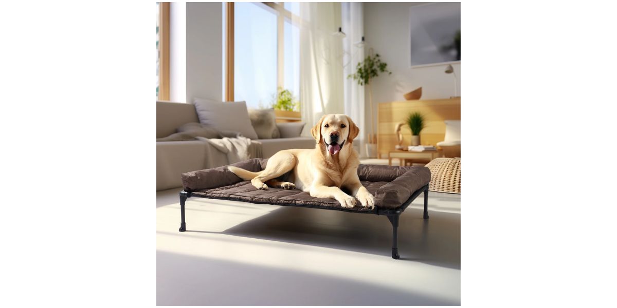 Veehoo Cooling Elevated Dog Bed 