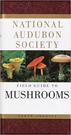 Field Guide to North American Mushrooms National Audubon Society