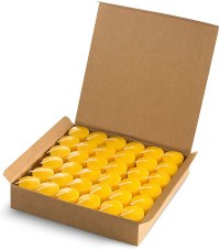 Candle Charisma Votive Citronella Scented Candles