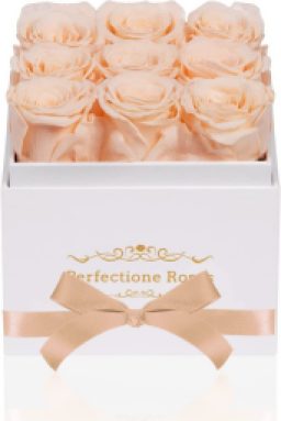 Perfectione Roses