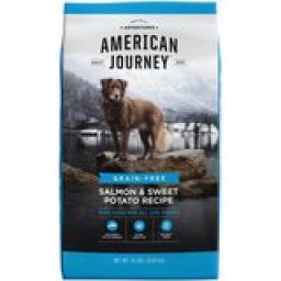 American Journey