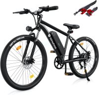isinwheel M10