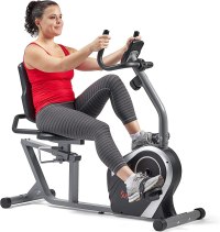Sunny Health & Fitness Magnetic Recumbent Exercise Bike