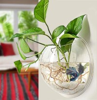 PRUGNA Wall-Hanging Fish Bowl