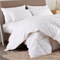 Alwyn Home All Season Goose Down Comforter