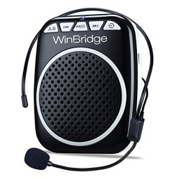 WinBridge