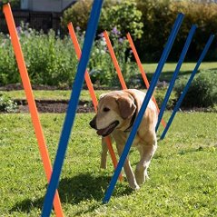 PAWISE Dog Agility Exercise Training Slalom Set