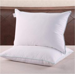 Homelike Moment Down Feather Pillows - 2 Pack