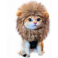 RosyLife Lion Mane Cat Costume