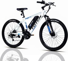 Totem Electric Bike for Adults