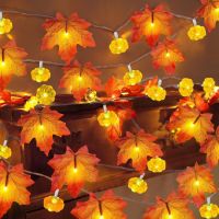 TURNMEON Fall Garland with Pumpkin Lights