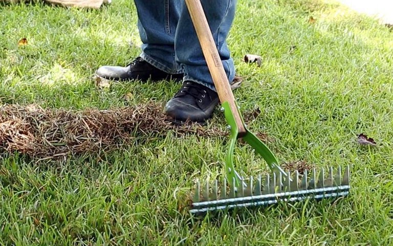 garden rake vs leaf rake